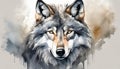 Watercolor illustration of gray wolf. Portrait of wild forest animal. Hand drawn art Royalty Free Stock Photo