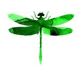 Watercolor illustration of a green abstract dragonfly with paint stripes