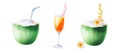 Watercolor illustration of green coconuts with tubes for drinks, orchid flowers and glass goblet with orange cocktail