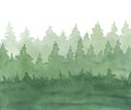 A watercolor illustration of a green coniferous forest on a white background is hand-drawn. Royalty Free Stock Photo