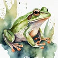 Watercolor illustration of green frog on white background. Wildlife concept. Adorable creature Royalty Free Stock Photo