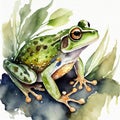 Watercolor illustration of green frog on white background. Wildlife concept. Adorable creature Royalty Free Stock Photo