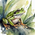 Watercolor illustration of green frog on white background. Wildlife concept. Adorable creature Royalty Free Stock Photo