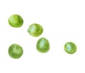 Watercolor illustration of green peas, isolated on white background Royalty Free Stock Photo