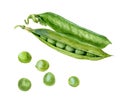 Watercolor illustration of green peas, isolated on white background Royalty Free Stock Photo