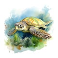 Watercolor illustration of a green sea turtle on a white background. AI Generated Generative AI Royalty Free Stock Photo