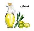 Watercolor illustration of group green olives branch with leaves and bottle of extra virgin olive oil isolated on white Royalty Free Stock Photo