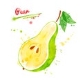 Watercolor illustration of half of pear