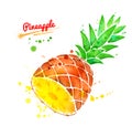 Watercolor illustration of half of pineapple Royalty Free Stock Photo