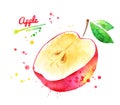 Watercolor illustration of half of red apple Royalty Free Stock Photo