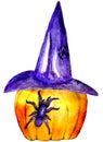 Watercolor illustration of Halloween pumpkin with witch hat and spider