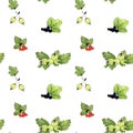 Seamless pattern of red currant, black currant, gooseberry.