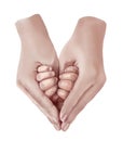 Watercolor illustration of hands of mother and child in the form of a heart.