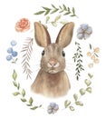 Watercolor illustration of a hare. Fl1ower composition. Postcard forest animals.