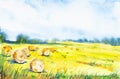 Watercolor illustration of a haystack. In the foreground yellow spikelets of grass in the background green forest