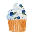Watercolor illustration, holiday cupcake with blueberries. Colorful element isolated on white background.