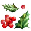 Watercolor illustration of holly berries and leaves.Hand drawn holly sprig for Christmas Royalty Free Stock Photo