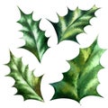 Watercolor illustration of holly berries and leaves.Hand drawn holly sprig for Christmas Royalty Free Stock Photo