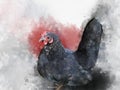 Watercolor illustration of a Japanese bantam or Chabo chicken