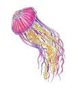 Watercolor illustration with jellyfish. Wavy lines, underwater world. For print, design, postcards and more.