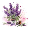 Watercolor illustration. Kitchen spices. Thyme sprigs and thyme flowers.ai generated