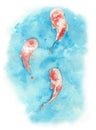 Watercolor illustration of koi carp fish in a pond