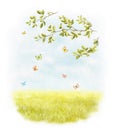Watercolor illustration with landscape scenery with summer meadow, butterflies, tree branches and sky Royalty Free Stock Photo