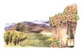 Watercolor illustration landscape with vineyards, basket wine grapes, bottle , glass, mountain, tree