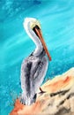 Watercolor illustration of a large white and gray pelican with an orange beak Royalty Free Stock Photo