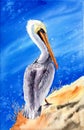 Watercolor illustration of a large white and gray pelican with an orange beak Royalty Free Stock Photo