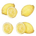 Watercolor illustration with lemon, slice separately and together, compositions .isolate on a white background.