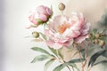 Watercolor illustration light pink peony flower on a stem with buds. AI Generated Royalty Free Stock Photo