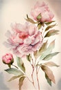 Watercolor illustration light pink peony flower on a stem with buds. AI Generated Royalty Free Stock Photo