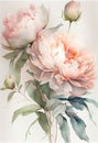 Watercolor illustration light pink peony flower on a stem with buds. AI Generated Royalty Free Stock Photo