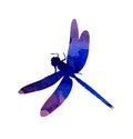 Watercolor illustration of a lilac-blue abstract dragonfly with paint stripes