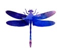 Watercolor illustration of a lilac-blue abstract dragonfly with paint stripes.