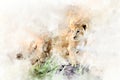 Lion cub - watercolor illustration portrait Royalty Free Stock Photo