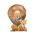 Watercolor illustration of lion and the cub sitting together looking at each other. Idea for father s day card.