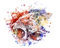 Vector color illustration of a lioness head Royalty Free Stock Photo