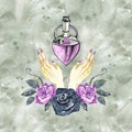 Watercolor illustration of a love potion. Witch elixir. Halloween design. Print valentine`s day. Pink purple glass