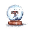 Watercolor illustration.magic Christmas glass snow globe on a wooden stand with a bull's head inside.Horned bull symbol