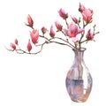 Watercolor illustration of a magnolia branch in a transparent vase isolated on a white background.