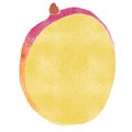 Watercolor Illustration of mango slice isolated on white background - hand drawn tropical fruit Royalty Free Stock Photo