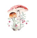 Watercolor illustration with mashrooms, branches, leaves and berries. Set of autumn forest plants, fly agaric and