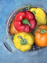 Watercolor illustration of a metal colander with some colorful peppers Royalty Free Stock Photo