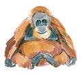 Watercolor illustration of a monkey