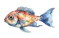 Watercolor illustration of a multicolored fish