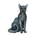 Watercolor illustration of mystic black cat