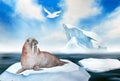 watercolor illustration of north sea landscape, white bird seagull, walrus, blue sky, floating ice floes, iceberg