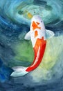 Watercolor illustration of an old quarter of Venice with bridWatercolor illustration of a beautiful white-red koi carp Royalty Free Stock Photo